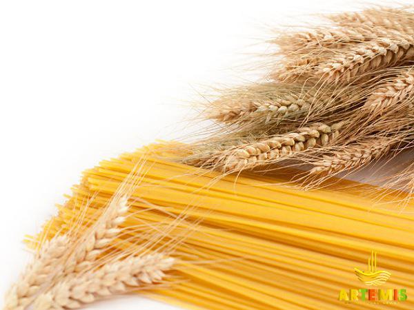 الأسواق الرئيسية لشراء معكرونة الباستا
